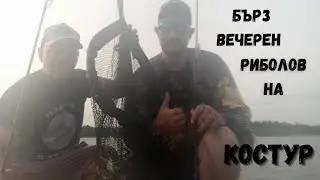Бърз вечерен риболов на костур и щука