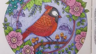 Coloring a cardinal in Small Victories with Grizaye pencils. Sorry it's sideways.