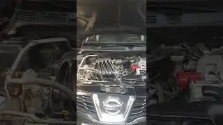 Так должен работать двигатель Ниссан #kitten #catlover #cat #love