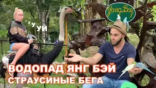 Экскурсия на водопад Янг Бэй. Нячанг. Вьетнам