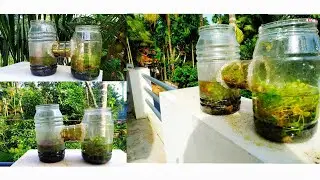 How to make aquarium using plastic bottles|Malayalam|Easy|TIME BREAKS