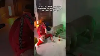 Когда собираешься на работу после 🎄🎅