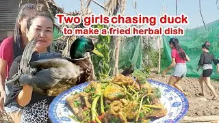 Strange! Two girls chasing duck to make a fried herbal dish.