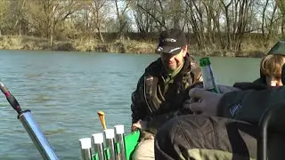Waller, Wels, Silure, Catfish. Frenchguide Koen Janssens