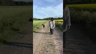 Таймлапс - белые ночи в Финляндии 