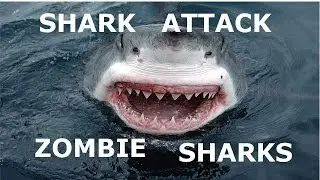 Shark Attack xbox 360 indie game Zombie Sharks