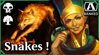 Undying Hapatra - Historic - MTG Arena