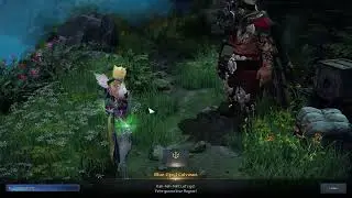 BLUE EYED CALVASUS Normal RAPPORT Quest Gameplay in LOST ARK