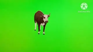 Green screen speaking cow !! eating cow !!