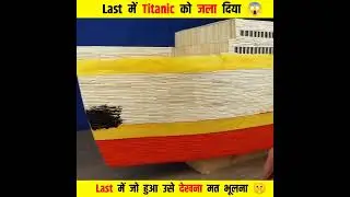 Titanic sheep 