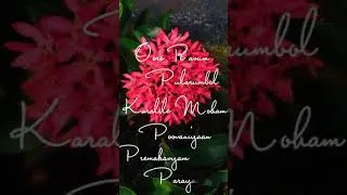 Poonkuyile Pookaralle Status Video