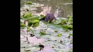 #Москва