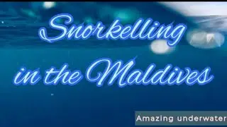 Snorkelling in the Maldives | Snorkelling 2024 | shot on @GoPro