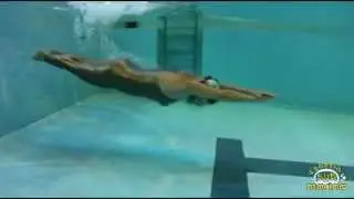 Campeonato de España de Apnea 2014