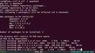 Sif - автоматическая установка сервисов на FreeBSD