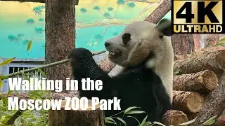 WALK THROUGH THE MOSCOW ZOO PARK. PART 1. WALKING IN THE OLD PART OF THE MOSCOW ZOO - 2025.