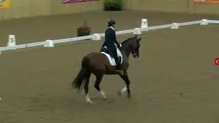 Rachael Lane, & WILHELMINA - Hartpury Festival of Dressage- PL Saracen Horse Feeds Intermediate I