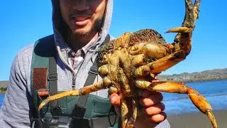How to Catch and Cook MONSTER CRAB - Delicious, EASY Ginger Scallion Crab Recipe