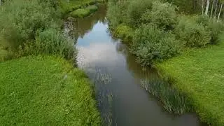 Водоросли