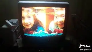 Let's play with barney pets 