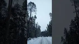 19 ноября 2023 г.