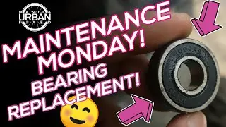 Bike Maintenance 😍 Hub Bearing Replacement! 😊
