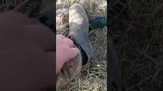 Вечёрка удалась, но без внука скучно.