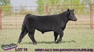 Dorsey24 18