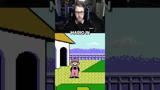 The ENTIRE History of the BEST MARIO SERIES - Game 2/7
