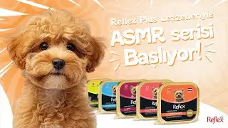 Reflex Plus Lezzetleriyle ASMR!