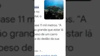 Notícias aleatórias