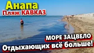 #Анапа