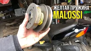 ЖЁЛТАЯ ПРУЖИНА 