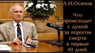 ☦️Что происходит с душой за порогом смерти в первые 40 дней. А.И.Осипов Православный апологет