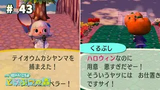 [Wii] 街森(ﾏﾁﾓﾘ) #43・待ちに待った帝王昔ヤンマだーっ！！！！
