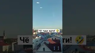 #shots #shorts #shortvideo #shortsvideo #гродно #belarus #беларусь #travel #путешествия #путешествие