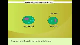 Growth Independent Movements in Plants