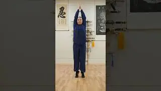 Ястреб взлетает на гору 