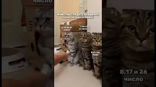 #дата #нумерология #цифры #максимсапунов #датарождения #число