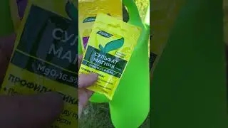 Подкормка голубики весной🫐