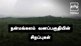 Nanmangalam Forest, Chennai |  நன்மங்கலம் வனப்பகுதி |  Tamil NEWJ
