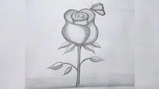 Lovely Rose Flower with butterfly // #easydrawing // #drawing by pencil // #lindana-drawing