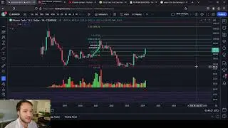 BITCOIN CASH (BCH) THE MEGA BULL