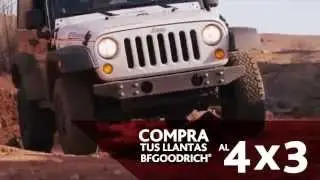 Bfgoodrich