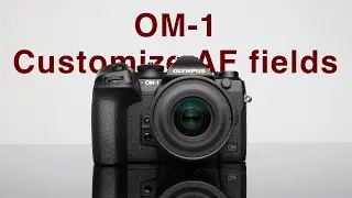 OM-1 / Customise AF Fields