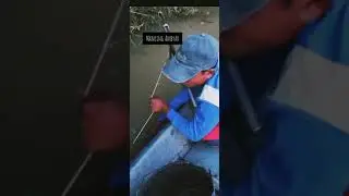 ikannya 