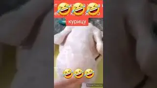 🐔 ♀️♂️🐓🐣не д~`ла 🍳🤷‍♂️  🤣🤣🤣🤣💯🤣🤣#shorts#музыка#втренды#show#приколы#farhadmedia#музыка#Лайхфак