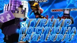 ТУРНИР ПО СУМО НА ВАЙМ ВОРЛД | ft. Расенган VimeWorld