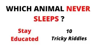 10 Tricky Riddles | Part 3
