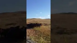 Дорога на Алаколь через горы.